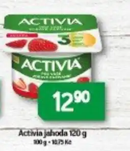 Brněnka Activia jahoda nabídka