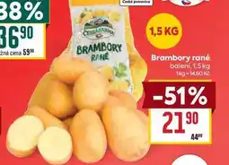 Billa Brambory rané balení nabídka
