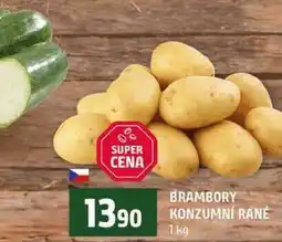 Terno Konzumní brambory nabídka
