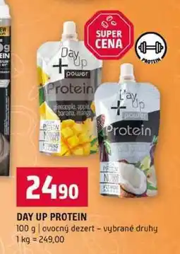 Terno DAY UP PROTEIN 100 g ovocný dezert vybrané druhy nabídka