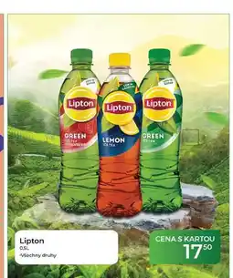 Tamda Foods Lipton nabídka