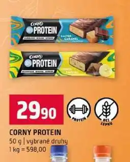 Terno CORNY PROTEIN 50 g vybrané druhy nabídka