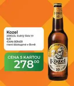 Tamda Foods Kozel 20x0,5L Světlý Sklo Vr 0,51 nabídka