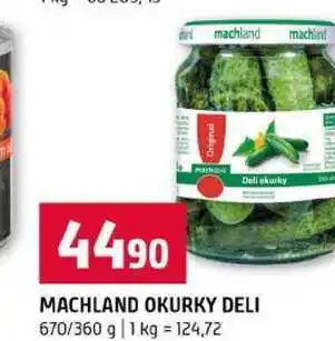 Terno MACHLAND OKURKY DELI 670/360 g nabídka