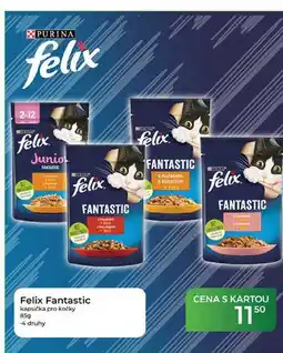 Tamda Foods Felix Fantastic kapsička pro kočky nabídka