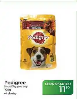 Tamda Foods Pedigree kapsičky pro psy nabídka