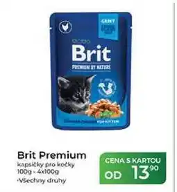 Tamda Foods Brit Premium kapsičky pro kočky 100g nabídka