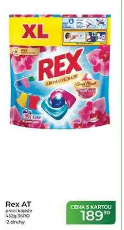 Tamda Foods Rex AT prací kapsle 432g 36PD nabídka