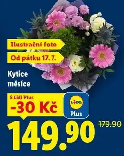 Lidl KYTICE MĚSÍCE nabídka