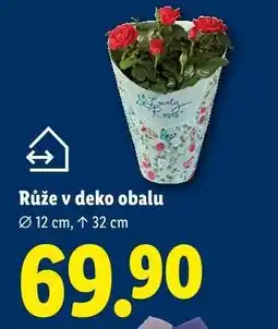 Lidl RŮŽE V DEKO OBALU nabídka