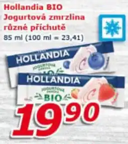 ESO MARKET Hollandia BIO Jogurtová zmrzlina nabídka