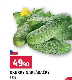 Terno OKURKY NAKLÁDAČKY nabídka