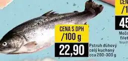 Jip Pstruh dúhový celý kuchaný cca 200-300 g 100g nabídka