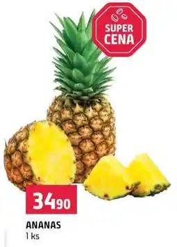 Terno Ananas nabídka