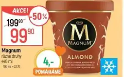 Globus Magnum nabídka