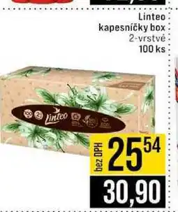 Jip Linteo kapesníčky box 2-vrstvé 100 ks nabídka