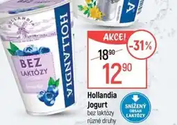 Globus Hollandia Jogurt nabídka