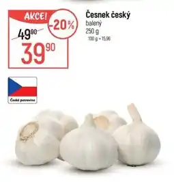 Globus Česnek český nabídka