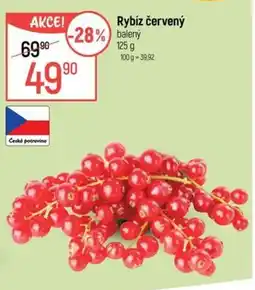 Globus Rybíz červený nabídka