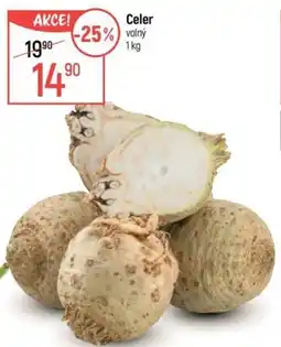 Globus Celer nabídka
