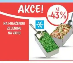 Globus Na mraženou zeleninu na váhu nabídka