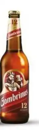Globus Gambrinus Patron 12 nabídka
