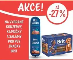 Globus Na vybrané konzervy, kapsičky a salámy pro psy značky Brit nabídka