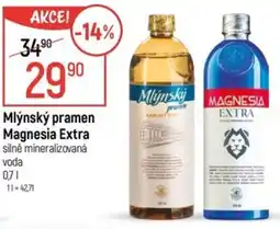 Globus Mlynský pramen Magnesia Extra nabídka