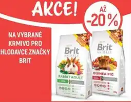 Globus Na vybrané krmivo pro hlodavce značky Brit nabídka