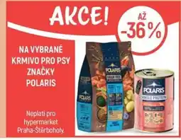 Globus Na vybrané krmivo pro psy značky Polaris nabídka