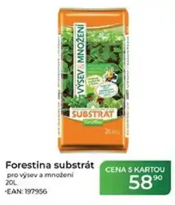 Tamda Foods Forestina substrát pro výsev a množeni nabídka