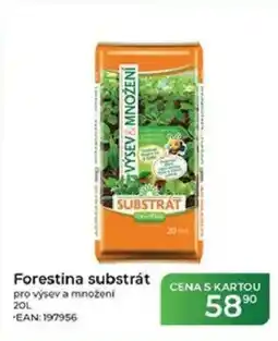Tamda Foods Forestina substrát pro výsev a množení nabídka