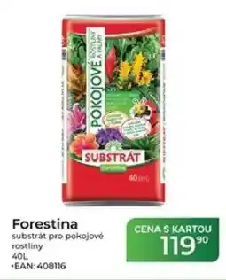 Tamda Foods Forestina substrát pro pokojové rostliny nabídka