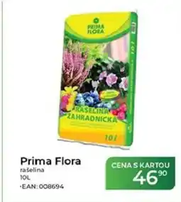 Tamda Foods Prima Flora rašelina nabídka