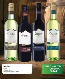 Tamda Foods Andes nabídka