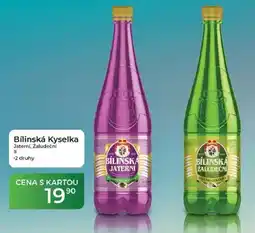 Tamda Foods Bílinská Kyselka nabídka