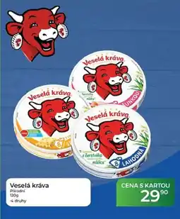 Tamda Foods Veselá kráva Prirodni nabídka