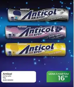 Tamda Foods Anticol černý rybíz nabídka