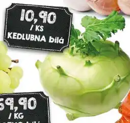 Jip Kedlubna bílá nabídka