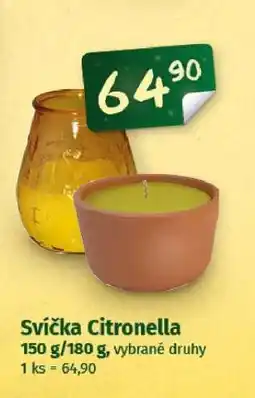 Coop Svíčka citronella nabídka