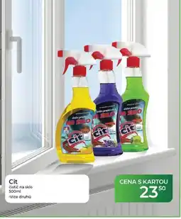 Tamda Foods Cit čistič na sklo nabídka