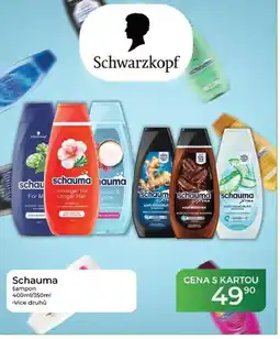 Tamda Foods Schauma šampon nabídka