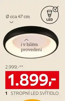 XXXLutz Stropní led svítidlo nabídka