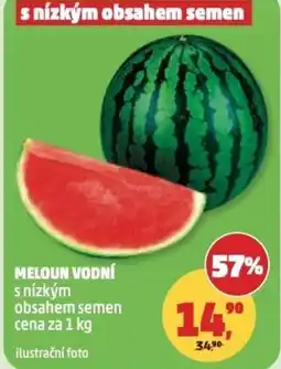 Penny Market Meloun vodní nabídka