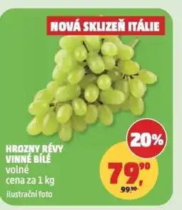 Penny Market Hrozny révy vinné bílé nabídka