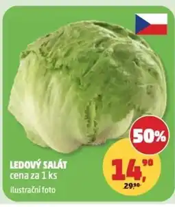 Penny Market Ledový salát nabídka