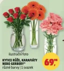 Penny Market Kytice růže, karafiáty nebo gerbery nabídka