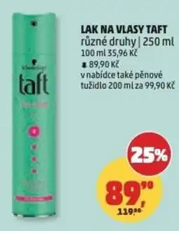 Penny Market Lak na vlasy taft nabídka