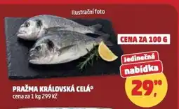 Penny Market Pražma královská celá nabídka