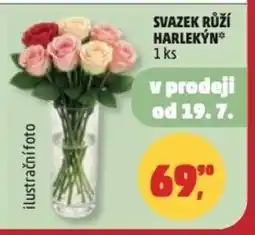 Penny Market Svazek růží harlekýn nabídka